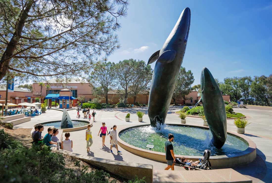 Photo of the marine mammal sculpture and fountain at the main entrance of Birch Aquarium.
